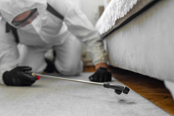 Professional Cockroach Control technician working in Conrad, IA